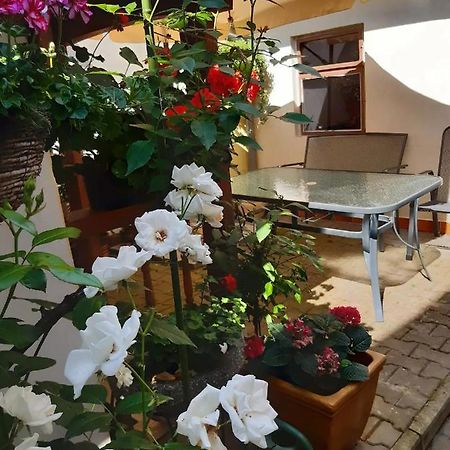 U Pani Malirky Apartman Valtice Kültér fotó