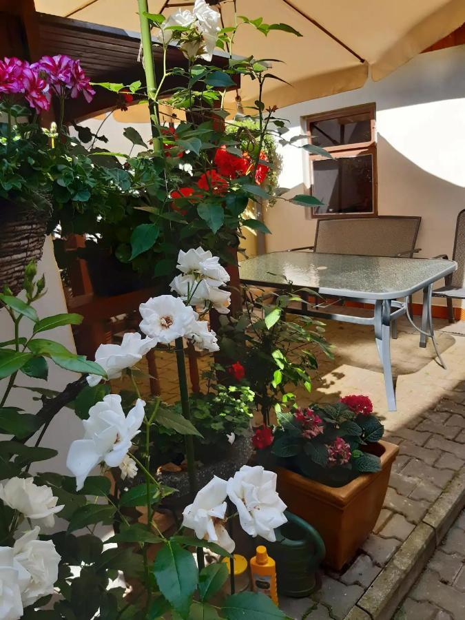 U Pani Malirky Apartman Valtice Kültér fotó