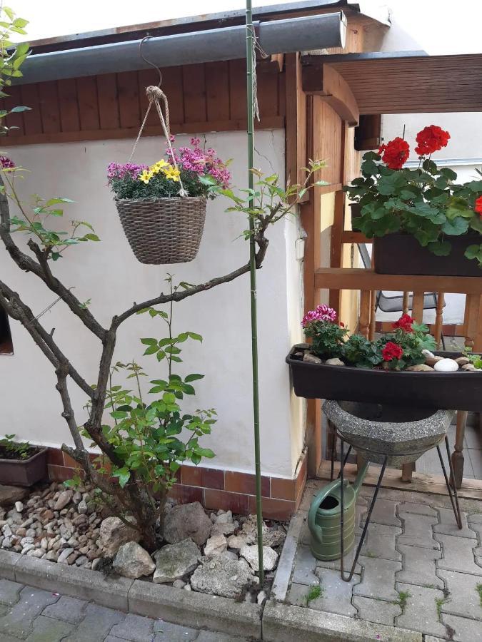 U Pani Malirky Apartman Valtice Kültér fotó