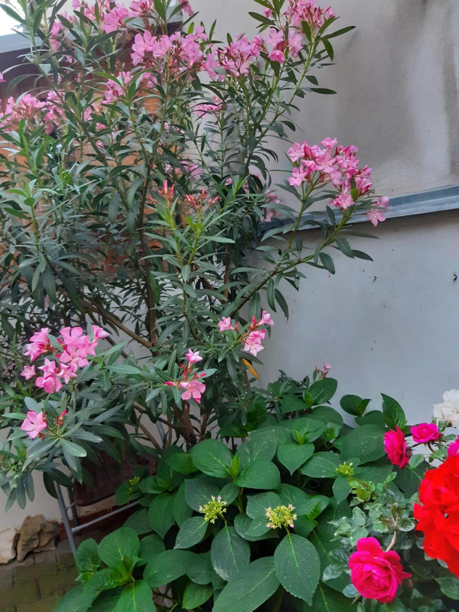 U Pani Malirky Apartman Valtice Kültér fotó